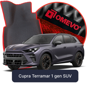Cupra Terramar 1 gen SUV (2024-2025)